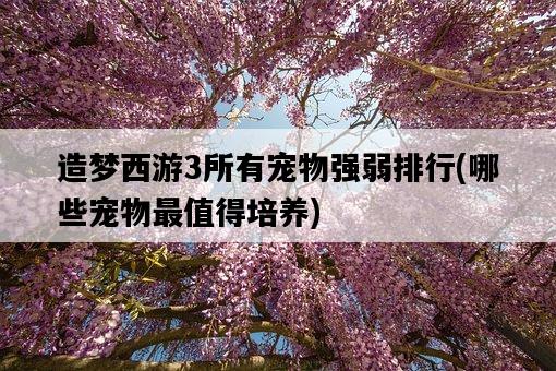 造夢西游3所有寵物強弱排行，哪些寵物最值得培養-圖1