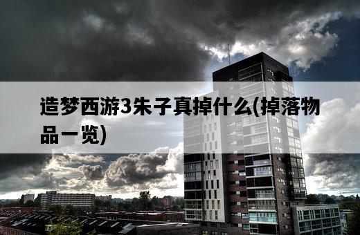 造夢西游3朱子真掉什么，掉落物品一覽-圖1