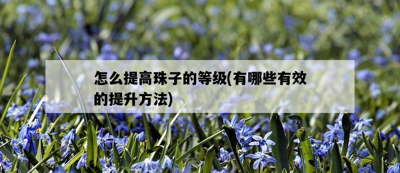 怎么提高珠子的等級，有哪些有效的提升方法-圖1