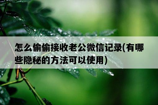 怎么偷偷接收老公微信記錄，有哪些隱秘的方法可以使用-圖1