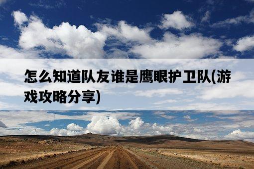 怎么知道隊友誰是鷹眼護衛隊，游戲攻略分享-圖1