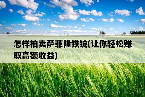 怎樣拍賣薩菲隆鐵錠，讓你輕松賺取高額收益-圖1