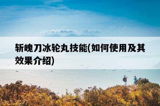 斬魄刀冰輪丸技能，如何使用及其效果介紹-圖1