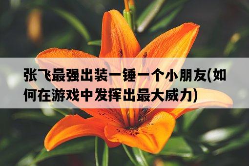 張飛最強出裝一錘一個小朋友，如何在游戲中發揮出最大威力-圖1