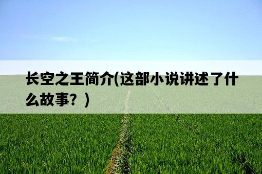 長空之王簡介，這部小說講述了什么故事？-圖1