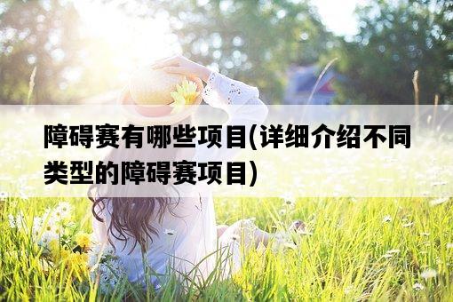 障礙賽有哪些項目，詳細介紹不同類型的障礙賽項目-圖1