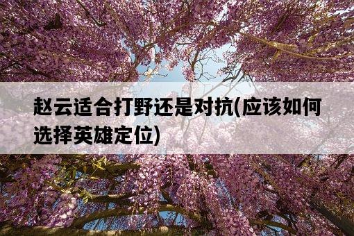 趙云適合打野還是對抗，應該如何選擇英雄定位-圖1