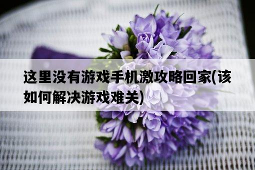 這里沒有游戲手機激攻略回家，該如何解決游戲難關-圖1