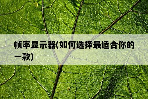 幀率顯示器，如何選擇最適合你的一款-圖1