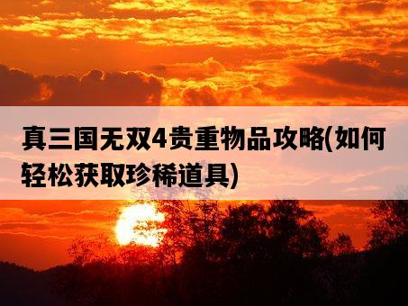 真三國無雙4貴重物品攻略，如何輕松獲取珍稀道具-圖1