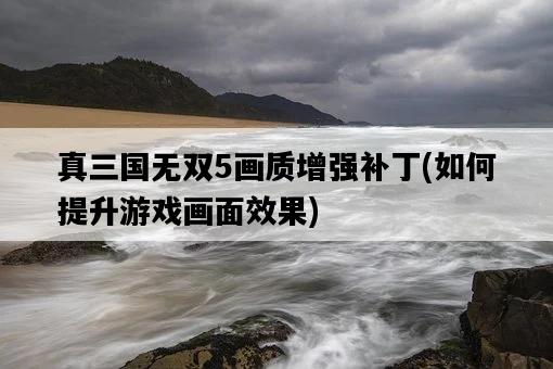 真三國無雙5畫質增強補丁，如何提升游戲畫面效果-圖1