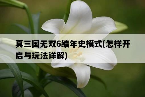 真三國無雙6編年史模式，怎樣開啟與玩法詳解-圖1
