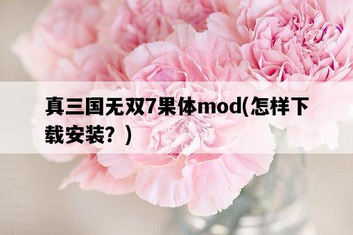 真三國無雙7果體mod，怎樣下載安裝？-圖1