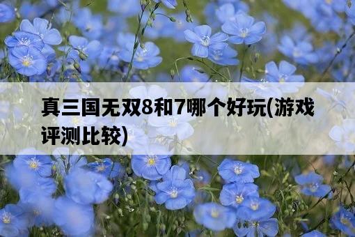 真三國無雙8和7哪個好玩，游戲評測比較-圖1