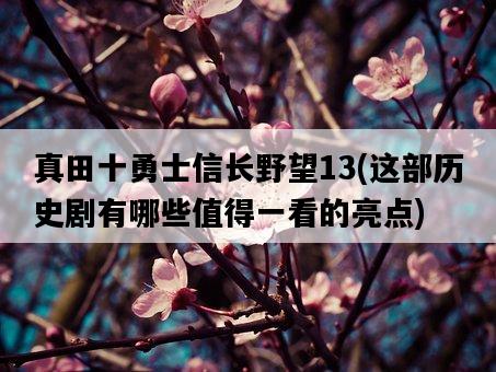 真田十勇士信長野望13，這部歷史劇有哪些值得一看的亮點-圖1