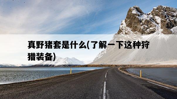 真野豬套是什么，了解一下這種狩獵裝備-圖1