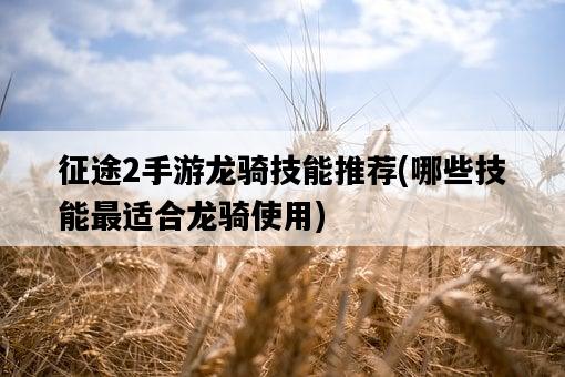 征途2手游龍騎技能推薦，哪些技能最適合龍騎使用-圖1