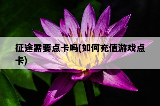 征途需要點卡嗎，如何充值游戲點卡-圖1