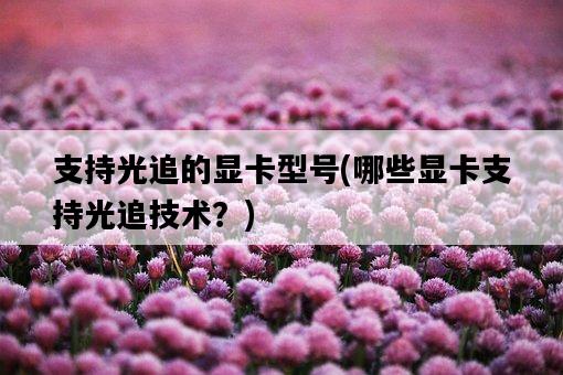 支持光追的顯卡型號，哪些顯卡支持光追技術？-圖1