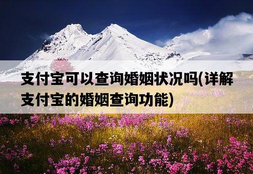支付寶可以查詢婚姻狀況嗎，詳解支付寶的婚姻查詢功能-圖1