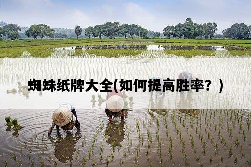 蜘蛛紙牌大全，如何提高勝率？-圖1