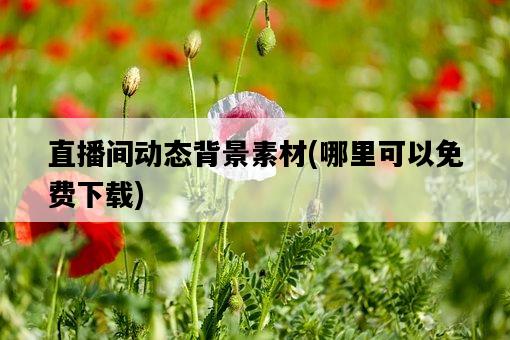 直播間動態背景素材，哪里可以免費下載-圖1