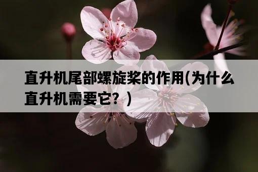 直升機尾部螺旋槳的作用，為什么直升機需要它？-圖1