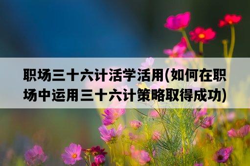 職場三十六計活學活用，如何在職場中運用三十六計策略取得成功-圖1