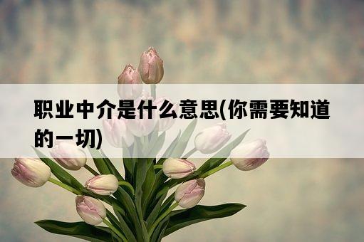職業中介是什么意思，你需要知道的一切-圖1