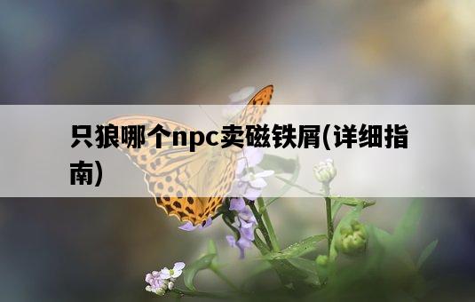 只狼哪個npc賣磁鐵屑，詳細指南-圖1