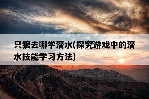 只狼去哪學潛水，探究游戲中的潛水技能學習方法-圖1