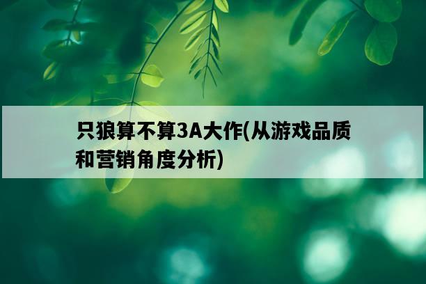 只狼算不算3A大作，從游戲品質和營銷角度分析-圖1