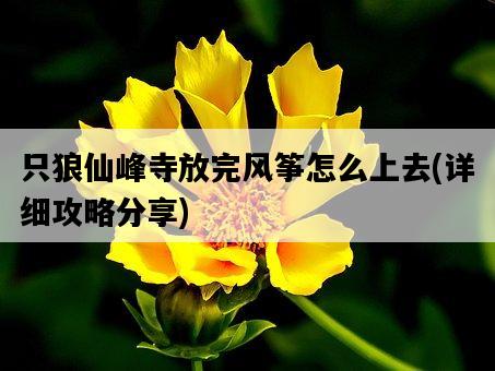 只狼仙峰寺放完風箏怎么上去，詳細攻略分享-圖1