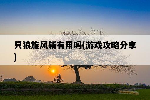 只狼旋風斬有用嗎，游戲攻略分享-圖1