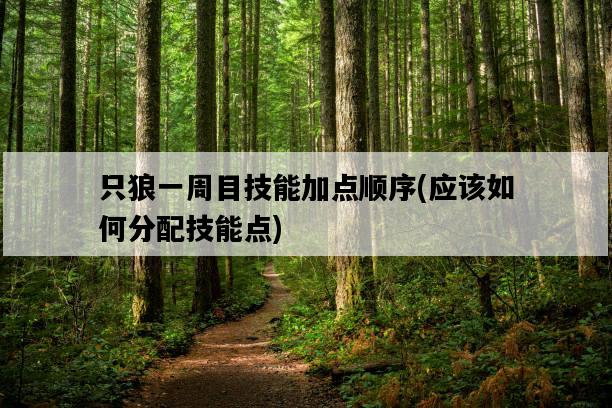 只狼一周目技能加點順序，應該如何分配技能點-圖1