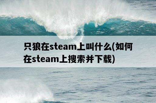 只狼在steam上叫什么，如何在steam上搜索并下載-圖1