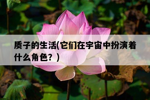 質子的生活，它們在宇宙中扮演著什么角色？-圖1