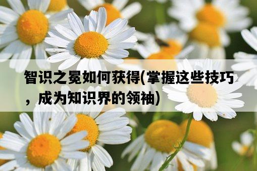 智識之冕如何獲得，掌握這些技巧，成為知識界的領袖-圖1
