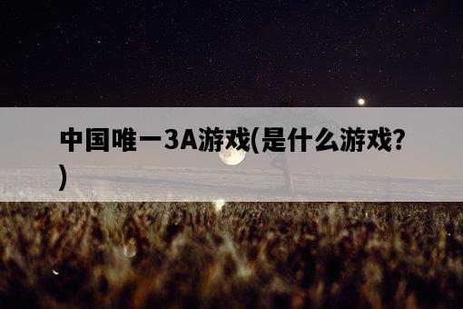 中國唯一3A游戲，是什么游戲？-圖1