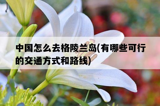 中國怎么去格陵蘭島，有哪些可行的交通方式和路線-圖1