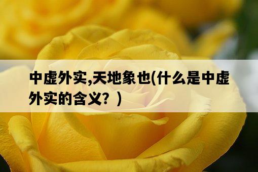 中虛外實,天地象也，什么是中虛外實的含義？-圖1