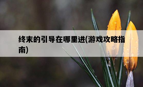 終末的引導在哪里進，游戲攻略指南-圖1