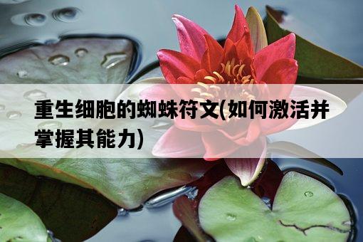 重生細胞的蜘蛛符文，如何激活并掌握其能力-圖1