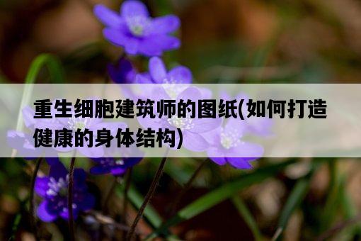重生細胞建筑師的圖紙，如何打造健康的身體結構-圖1