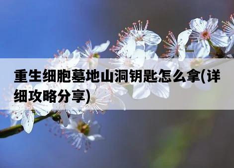 重生細胞墓地山洞鑰匙怎么拿，詳細攻略分享-圖1