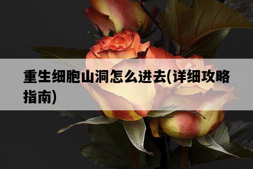 重生細胞山洞怎么進去，詳細攻略指南-圖1