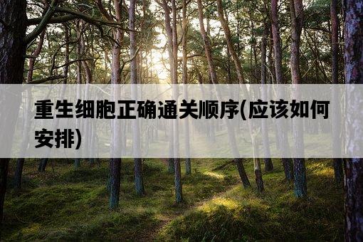 重生細胞正確通關順序，應該如何安排-圖1