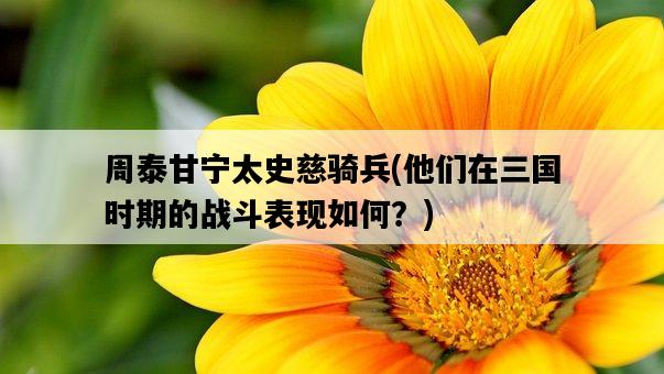 周泰甘寧太史慈騎兵，他們在三國時期的戰斗表現如何？-圖1