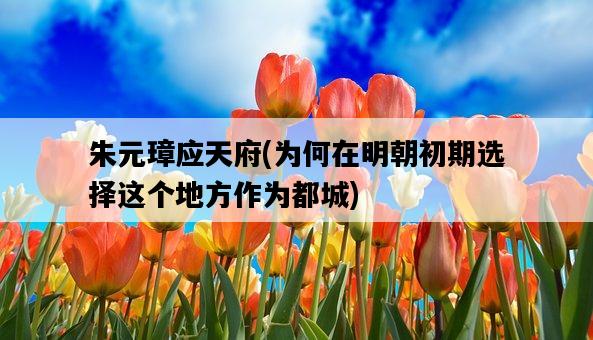 朱元璋應天府，為何在明朝初期選擇這個地方作為都城-圖1