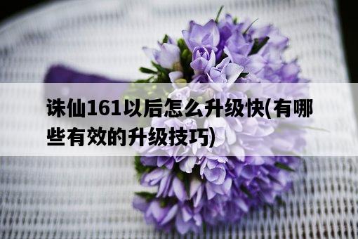 誅仙161以后怎么升級快，有哪些有效的升級技巧-圖1